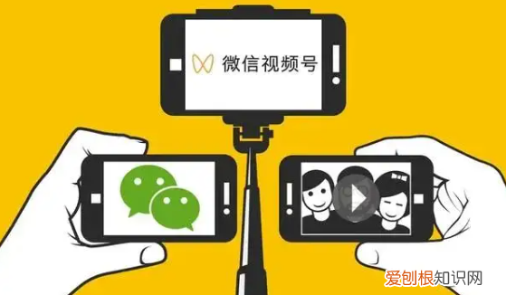 号怎么打开，微信号怎么开启手机号搜索