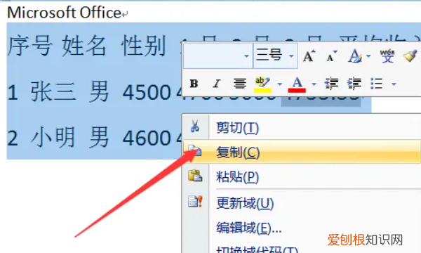 Word应该咋转换成Excel表格，一堆文字怎么转换成表格