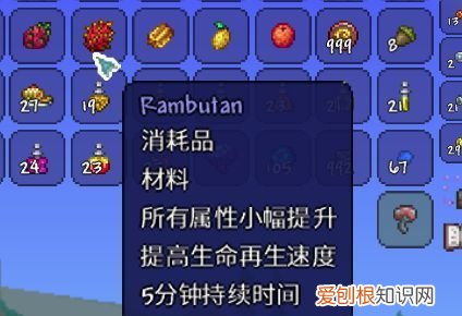 泰拉瑞亚胭脂虫有什么用