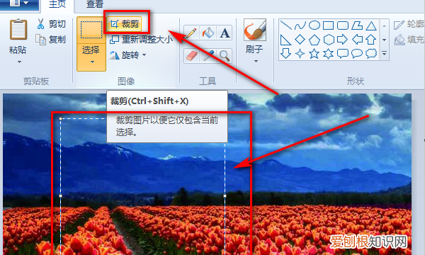 画图工具该怎么调整大小，电脑画图软件怎么调整照片大小
