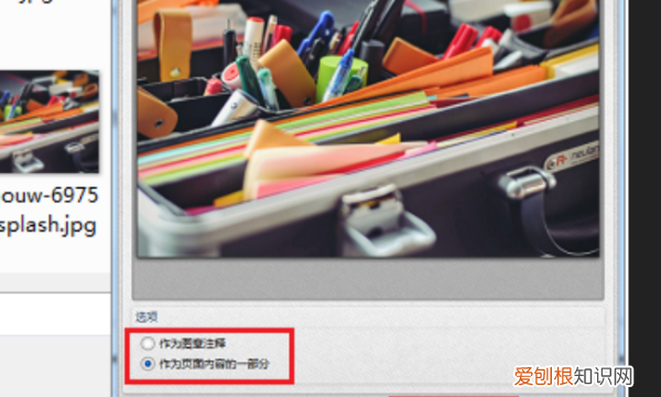 pdf应该怎么插入，word怎么插pdf图片格式
