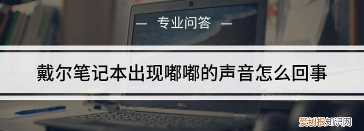 嘟声是什么,小溪边有嘟声是什么