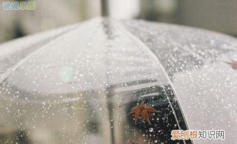 雨天的心情说说，下了一夜的雨早晨起来的心情说说