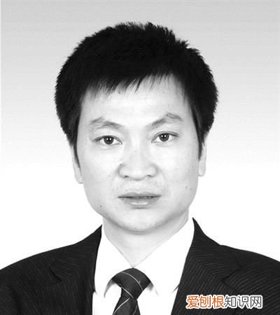 全国优秀县委书记几年评一次,县委书记下乡整改哪部电视剧