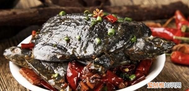 汉寿县美食，常德哪里的美食最多