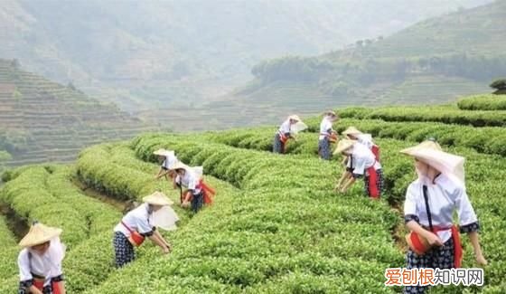 汉寿县美食，常德哪里的美食最多