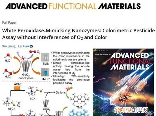 afm是顶级期刊吗