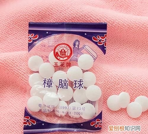 樟脑丸能驱赶蟑螂吗，樟脑丸可以驱除蟑螂