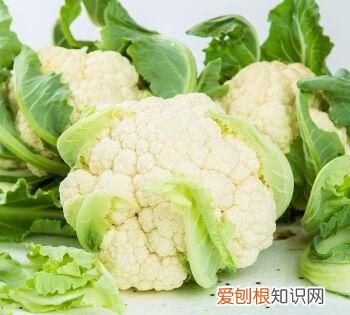 花菜是什么菜,绿色的花菜是什么菜