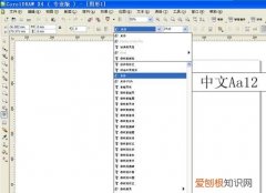 cdr嵌入字体什么意思，cdr字体应该怎么样才能安装