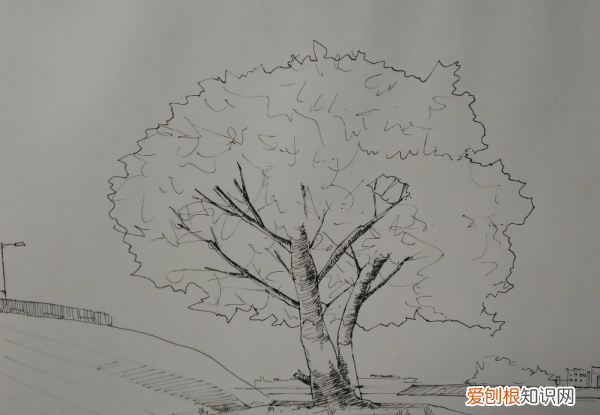 大树怎么画素描简单，怎么画一颗大树的铅笔画