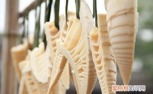 春笋保存方法冷冻,春笋不焯水保存方法