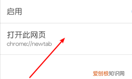 谷歌浏览器的主页该怎么才可以设置