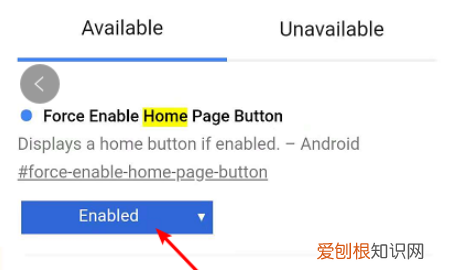 谷歌浏览器的主页该怎么才可以设置