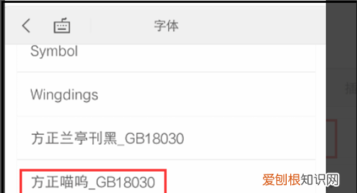 WPS字体应该咋安装,手机wps字体怎么安装
