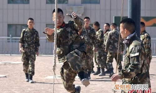 新兵特战旅要训几个月，特战荣耀杨洋跟谁在一起了