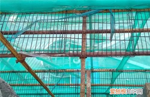 脚手架搭设时应遵守什么