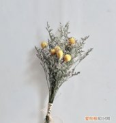 做干花一定要倒挂，鲜花干花要倒挂几天