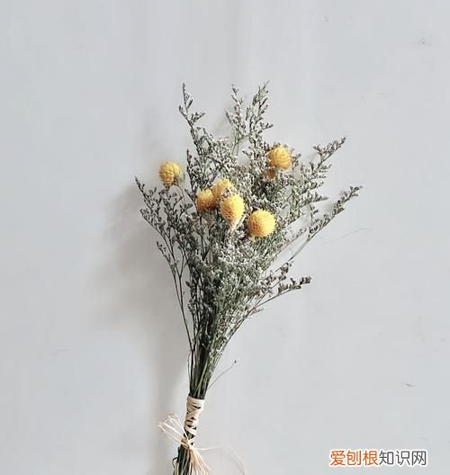 做干花一定要倒挂，鲜花干花要倒挂几天