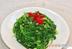 蒲公英怎么吃法