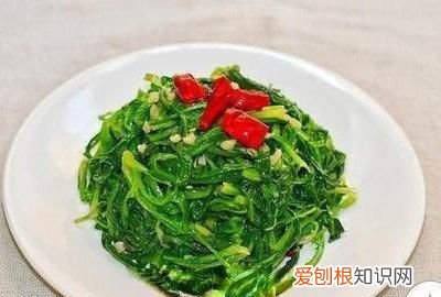 蒲公英怎么吃法