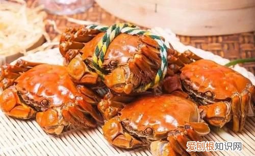 五河县美食,河南省周口市鹿邑县有什么出名地方可以旅游的