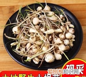 大脑瓜的腌制方法