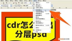 cdr如何导到ps没有底，cdr要如何才可以导入至ps