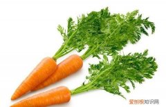 胡萝卜素是什么，买胡萝卜素他写了个非食健字是什么意思