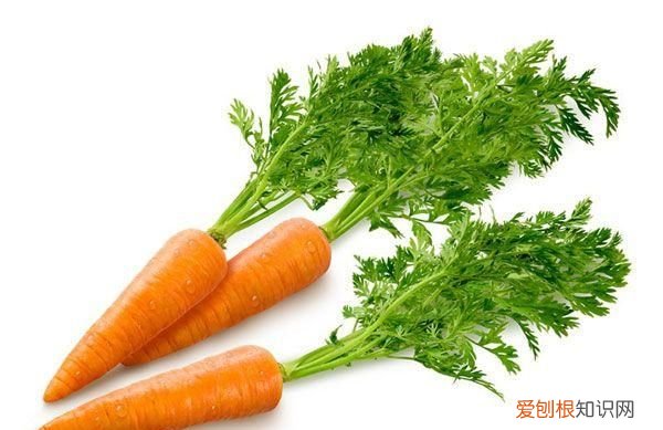 胡萝卜素是什么,买胡萝卜素他写了个非食健字是什么意思