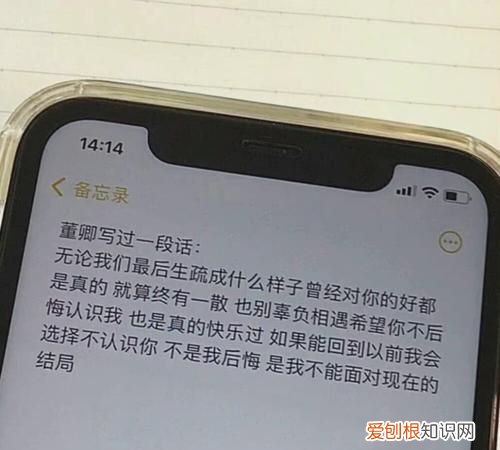 爱要及时下一句是什么