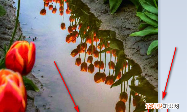 画图工具该如何调整大小，电脑画图软件怎么调整照片大小