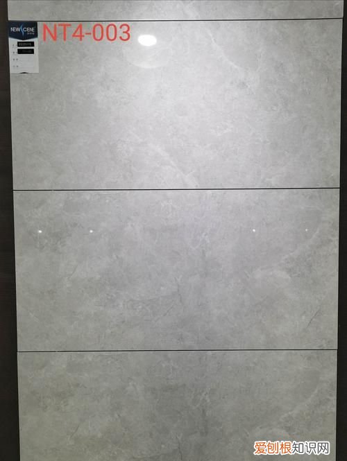 新景象瓷砖是哪里产的