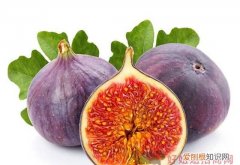 无花果怎么吃比较好，无花果怎么治疗痔疮