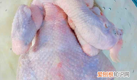 如何做烤鸡,烤鸡应该怎么做