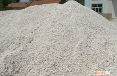 硅砂是什么东西，仓鼠砂是什么和沙土有什么区别