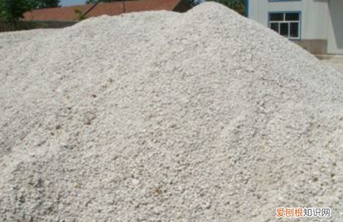 硅砂是什么东西，仓鼠砂是什么和沙土有什么区别