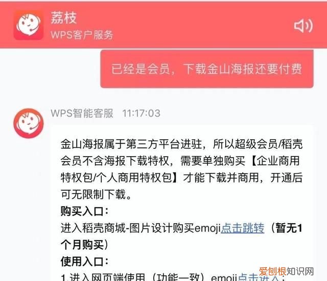 调查|增值服务“藏”在会员权益之外，WPS把用户蒙在鼓里？