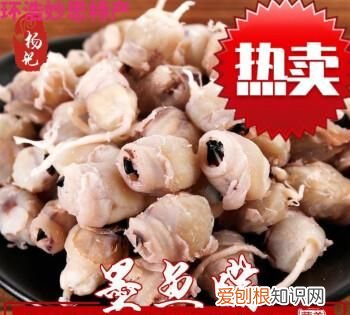 墨鱼嘴那个硬壳能吃吗,墨鱼中间白色硬硬的东西叫什么