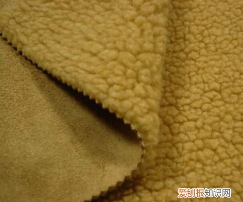 皮毛一体植绒是什么面料，南韩丝法国绒有什么区别