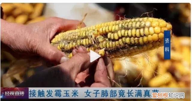 防止黄曲霉素污染食品的首要措施是啥