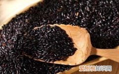 黑米要煮多久才熟，黑米粉怎么煮要煮多久