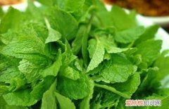 新鲜的薄荷怎么吃，不新鲜的薄荷叶可以干什么