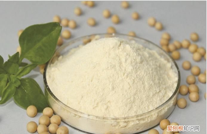 大豆蛋白是什么东西，速冻水饺里大豆组织蛋白是什么