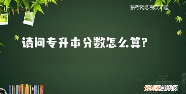 专升本分数怎么算的,四川专升本成绩怎么算总分