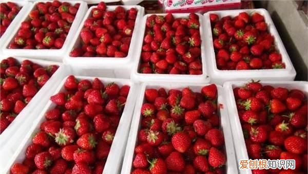 一般泡沫箱能保温吗 泡沫箱可以保温多久