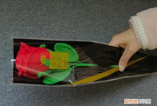 玫瑰花的由来起源,花语寓意及赠送对象是什么