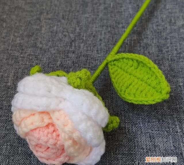 玫瑰花的由来起源,花语寓意及赠送对象是什么