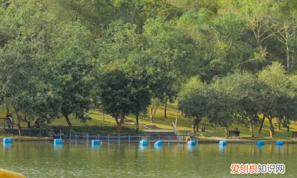 深圳凤凰山海拔多少米,深圳凤凰山海拔高度多少米