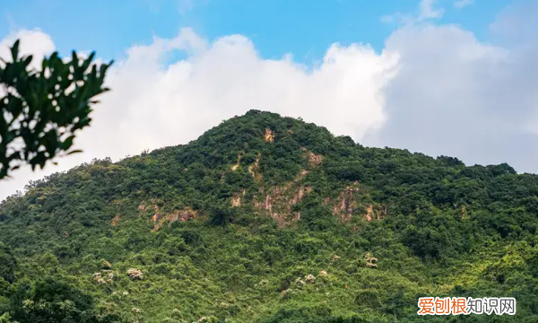 深圳凤凰山海拔多少米,深圳凤凰山海拔高度多少米